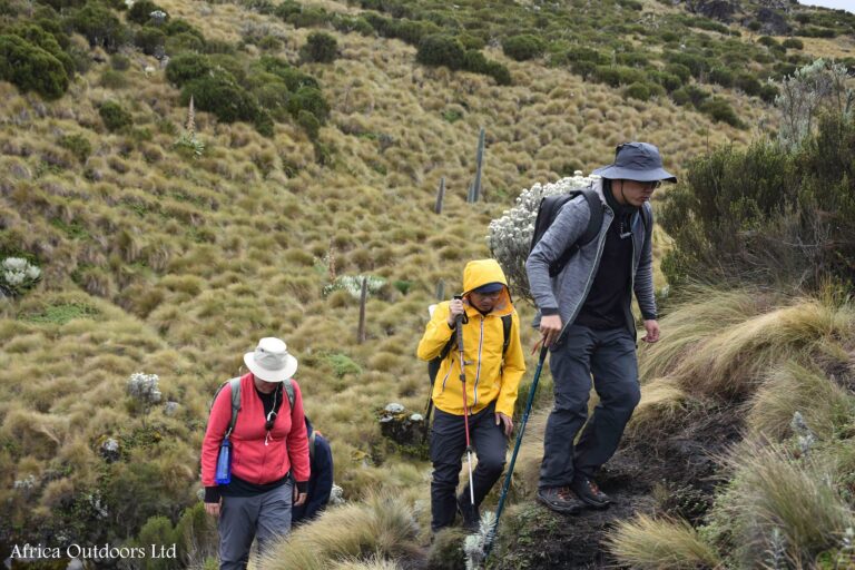 Best Hiking Trails Near Nairobi
